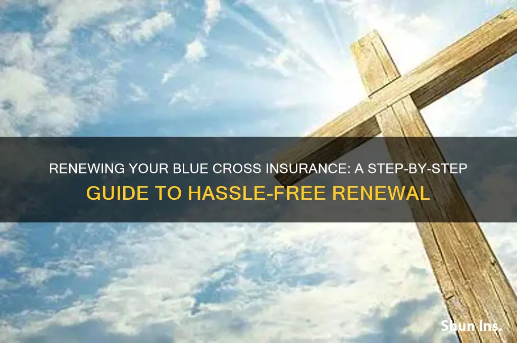 how do i renew my blue cross insurance