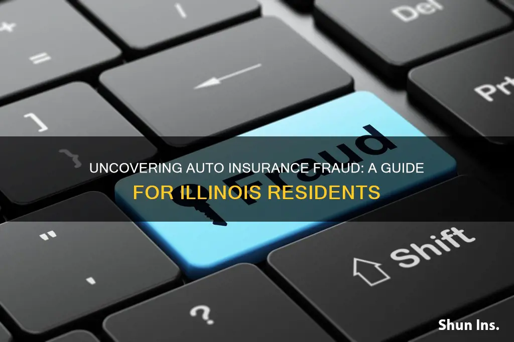 how do I report auto insurance fraud illinois