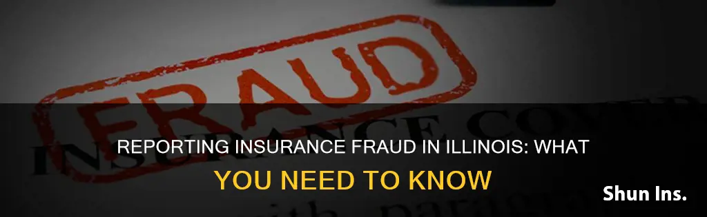 how do I report insurance fraud in Illinois