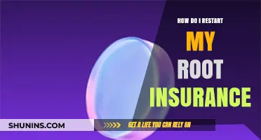 Restarting Your Root Insurance: A Step-by-Step Guide to Policy Renewal
