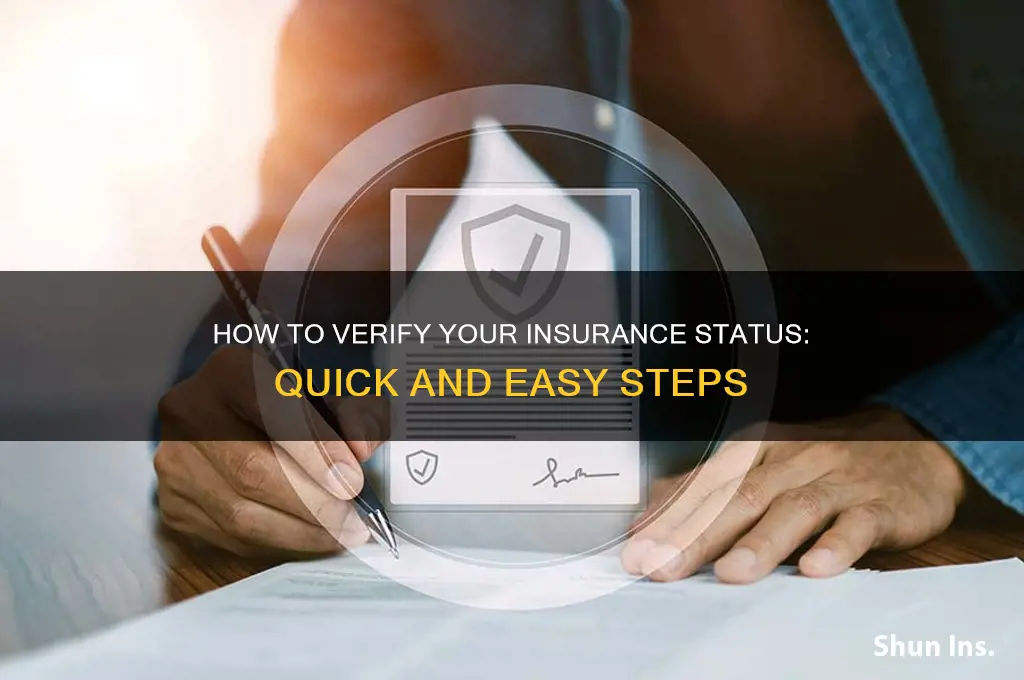 how do i see if my insurance is active