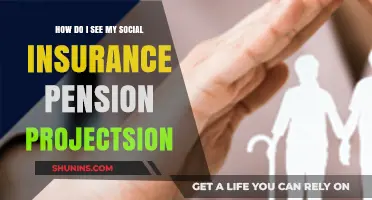 How to Check Your Social Insurance Pension Projection Easily