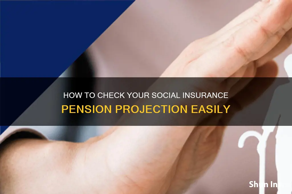 how do i see my social insurance pension projectsion