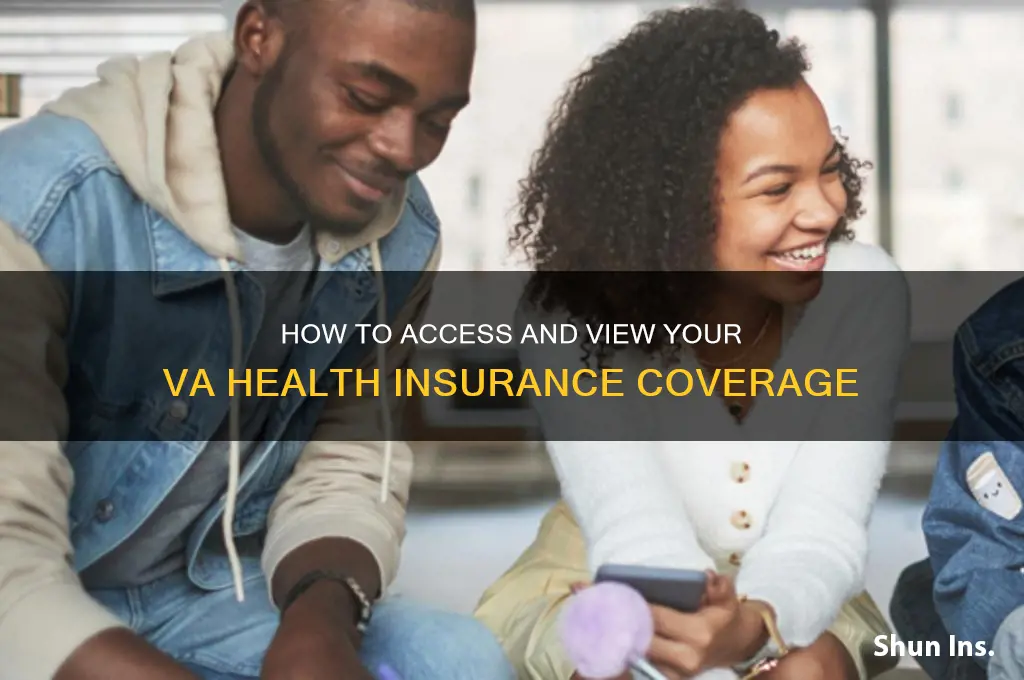 how do i see my va health insurance