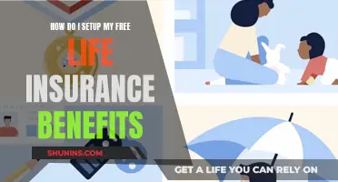 Setting Up Your Free Life Insurance: Easy Steps to Follow