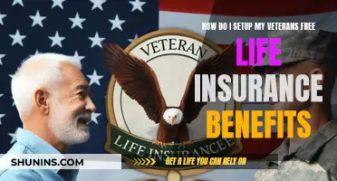 Setting Up Life Insurance Benefits for Veterans