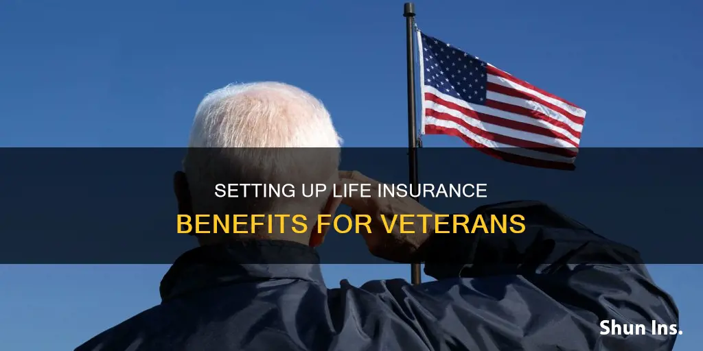 how do I setup my veterans free life insurance benefits