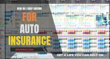 Finding the Right Fit: Navigating the Auto Insurance Marketplace