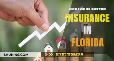Shopping for Homeowners Insurance in Florida: A Quick Guide