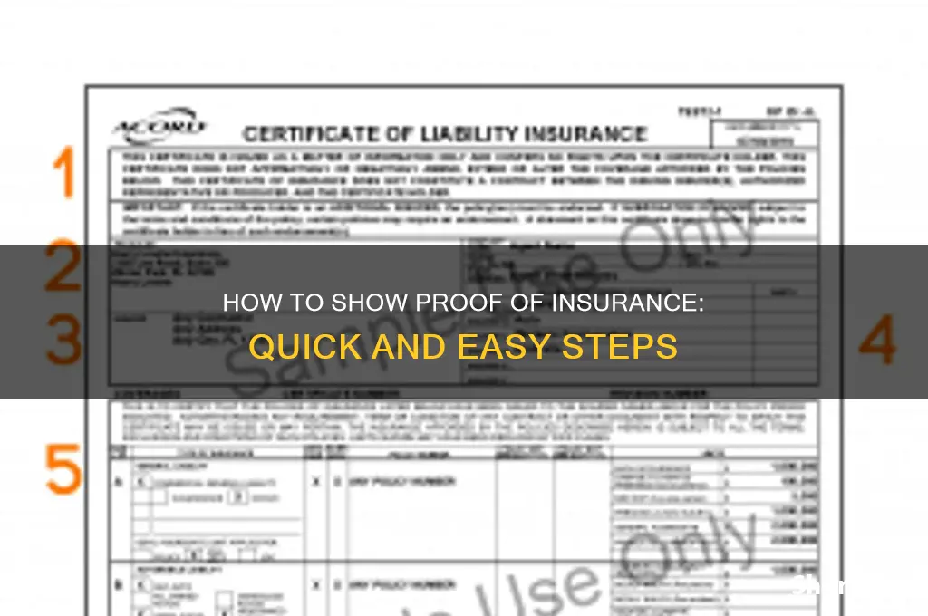 how do i show proof of insurance