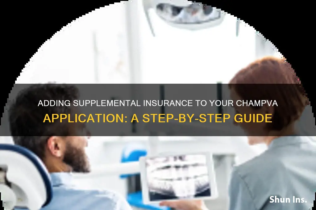 how do i show supplemental insurance on champ va application