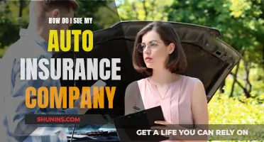 Taking on the Titans: Navigating the Complexities of Suing Your Auto Insurance Company