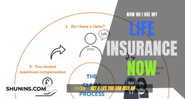 Using Life Insurance: Your Options and Benefits Now