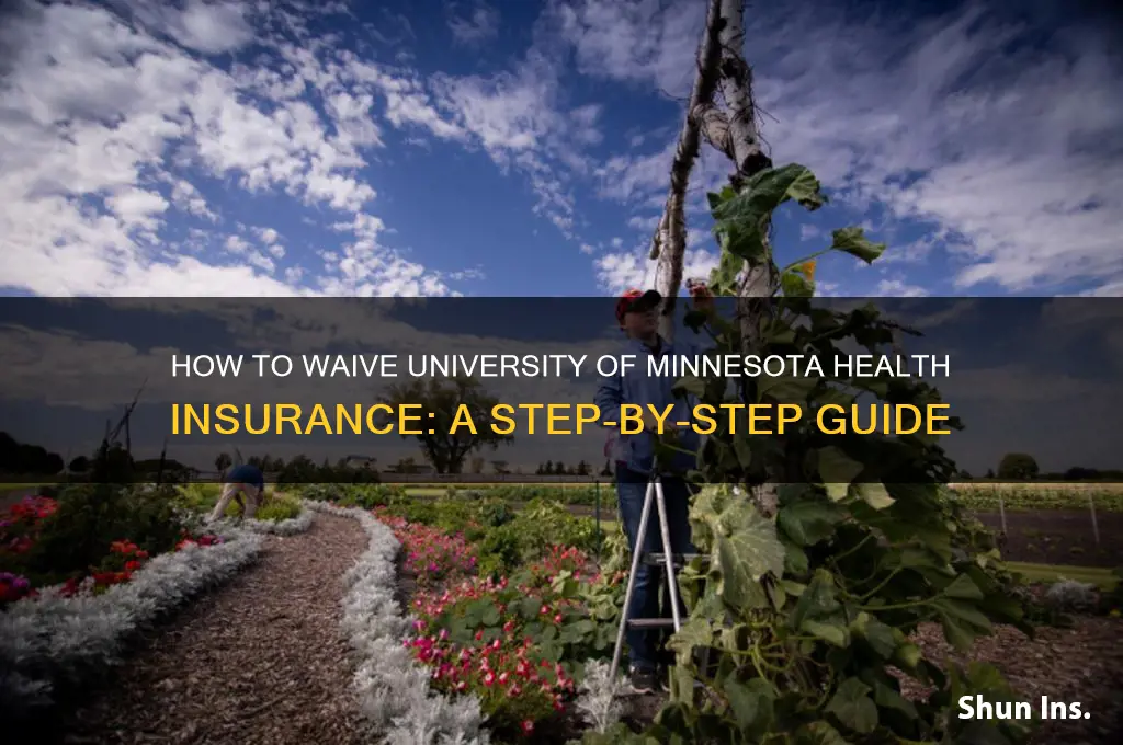 how do i waive health insurance umn