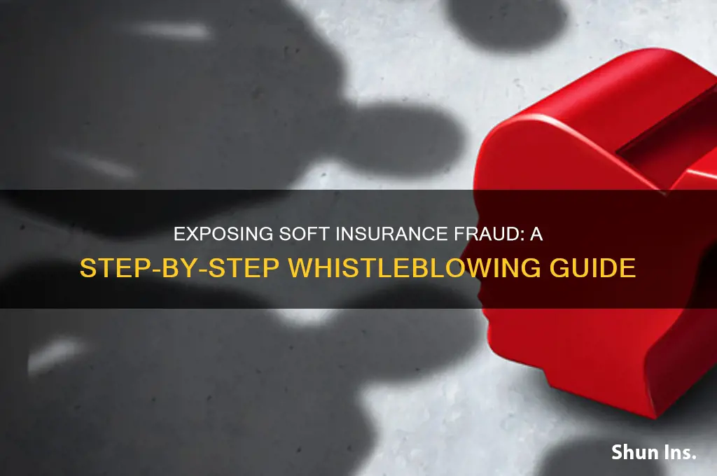 how do i wistleblow soft insurance fraud