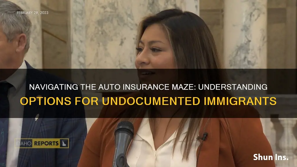 how do illegal immigrants get auto insurance