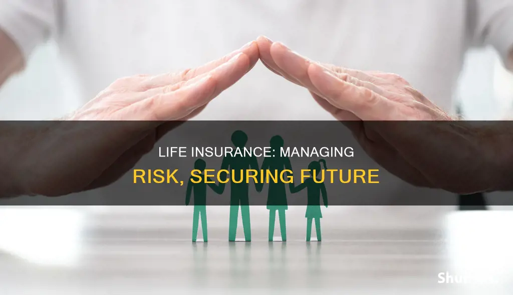 how do individuals who purchase life insurance manage risk