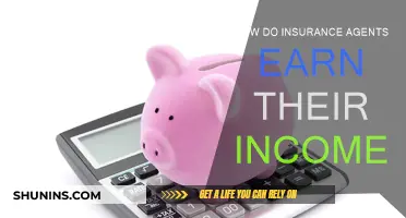 Lucrative Career Insights: Insurance Agents' Income Sources