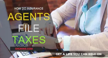 Insurance Agents: File Taxes with Ease
