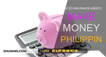 Insurance Agents' Earnings: Philippines Edition