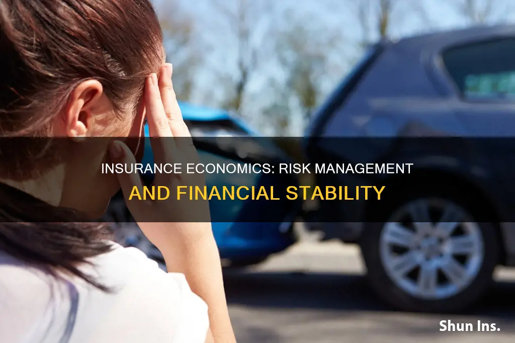 how do insurance and economics go together