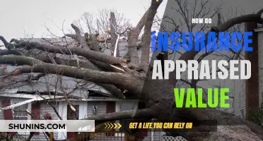 Understanding Insurance Appraised Value: A Comprehensive Guide for Policyholders