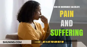 Understanding Pain and Suffering Calculations in Insurance Claims