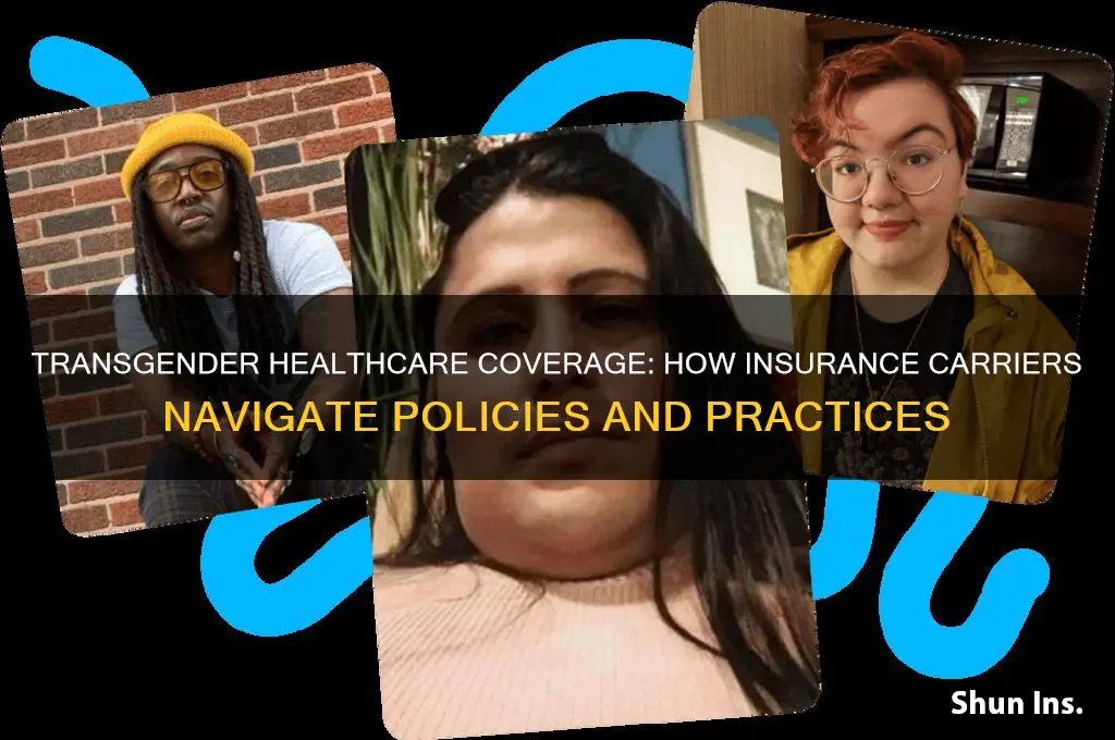 how do insurance carriers handle transgender individuals