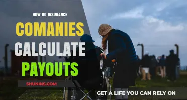 Understanding Insurance Payout Calculations: Factors, Formulas, and Fair Compensation
