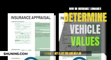 Insurance Companies: Vehicle Value Determinants