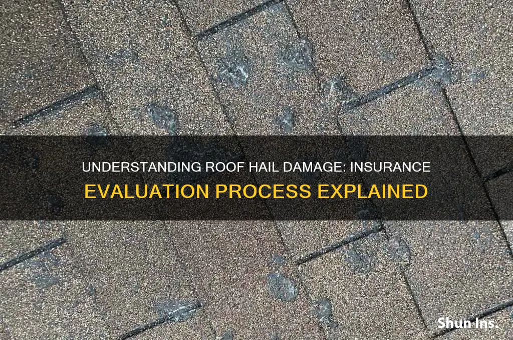 how do insurance comapnies evaluate hail damage on roofs