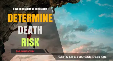 Understanding Death Risk Assessment by Insurance Companies
