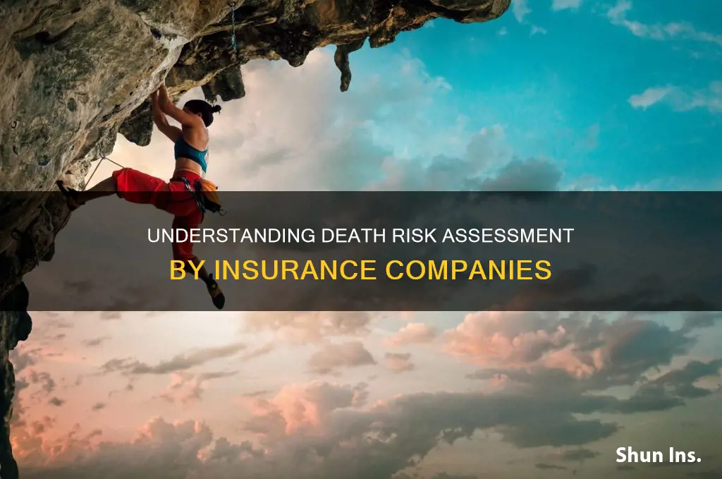how do insurance comoanies determine death risk