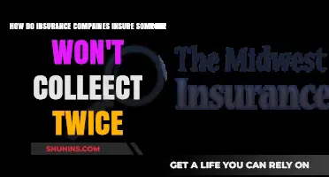 Preventing Double Claims: How Insurance Companies Ensure Policyholder Integrity