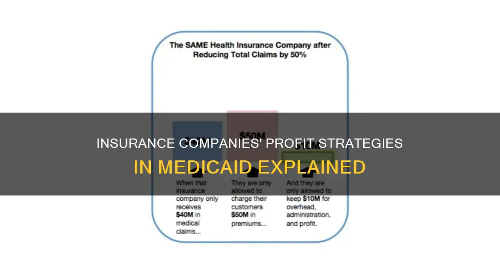 how do insurance companies make money on medicaid