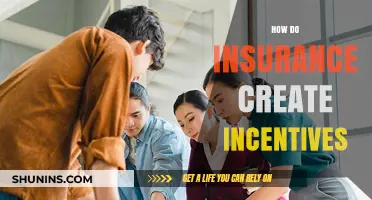 How Insurance Policies Shape Behavior: Understanding Incentive Structures