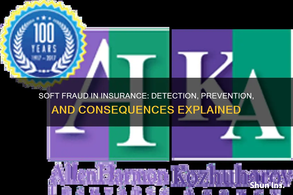 how do insurance deal with soft fraud