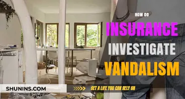 Uncovering Vandalism Claims: How Insurance Investigators Detect Fraud and Damage