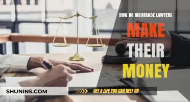 Insurance Lawyers: Their Money-Making Strategies Explained