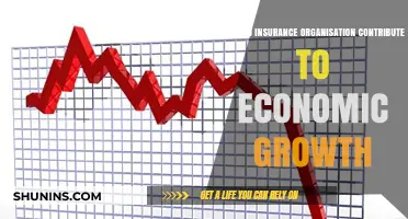Insurance Organizations: Key Drivers of Economic Growth and Stability