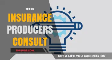 Effective Strategies for Insurance Producers to Consult and Guide Clients