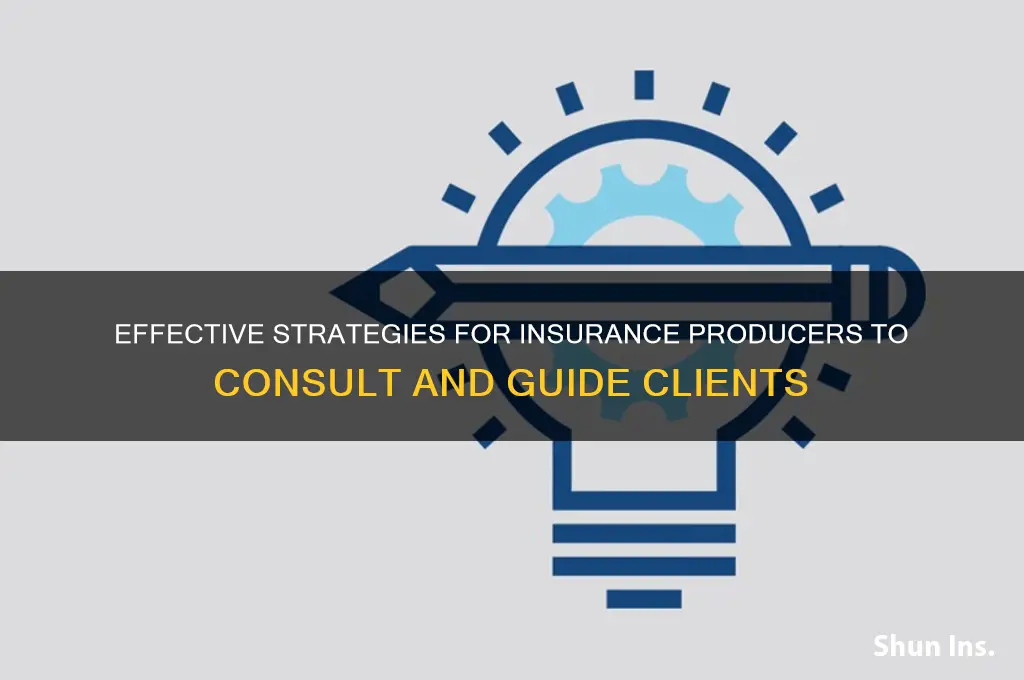 how do insurance producers consult