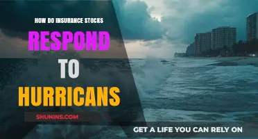 Hurricane Impact: Analyzing Insurance Stock Reactions to Storm Events