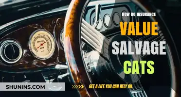 Understanding Salvage Cat Insurance Valuation: A Comprehensive Guide for Owners