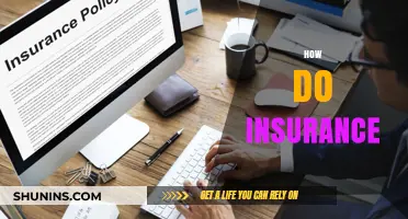 Understanding Insurance Basics: How Policies Work and Protect Your Future