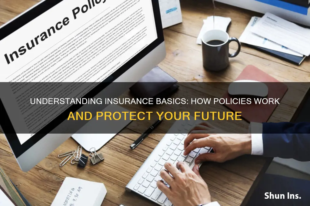 how do insurance