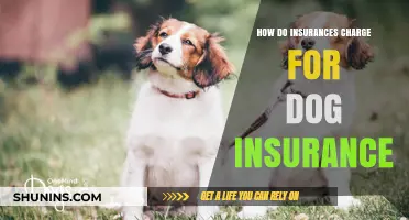Understanding Dog Insurance Costs: Factors That Influence Your Monthly Premiums