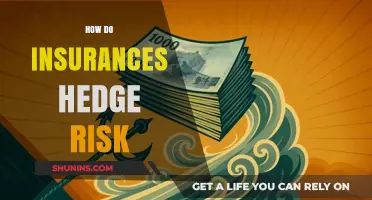 Insurers' Risk Mitigation: Hedging Strategies and Techniques
