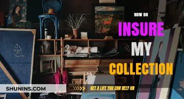 Protecting Your Treasures: A Guide to Insuring Your Valuable Collection