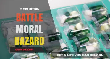 Mitigating Moral Hazard: Strategies Insurers Use to Balance Risk and Reward